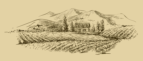 Pineau sainte-hermine extra-vieux domaine